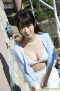 精灵守护者