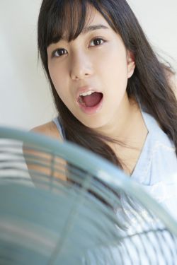 中餐厅第五季在线观看